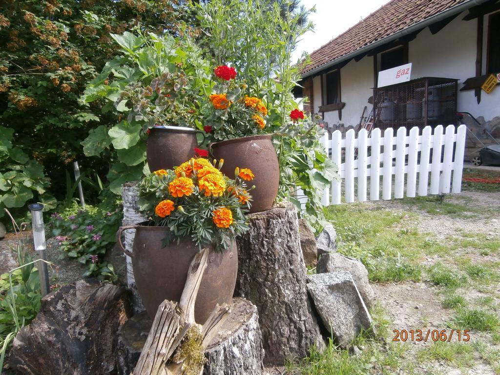 Straznica Komtura Apartamento Mikołajki Exterior foto