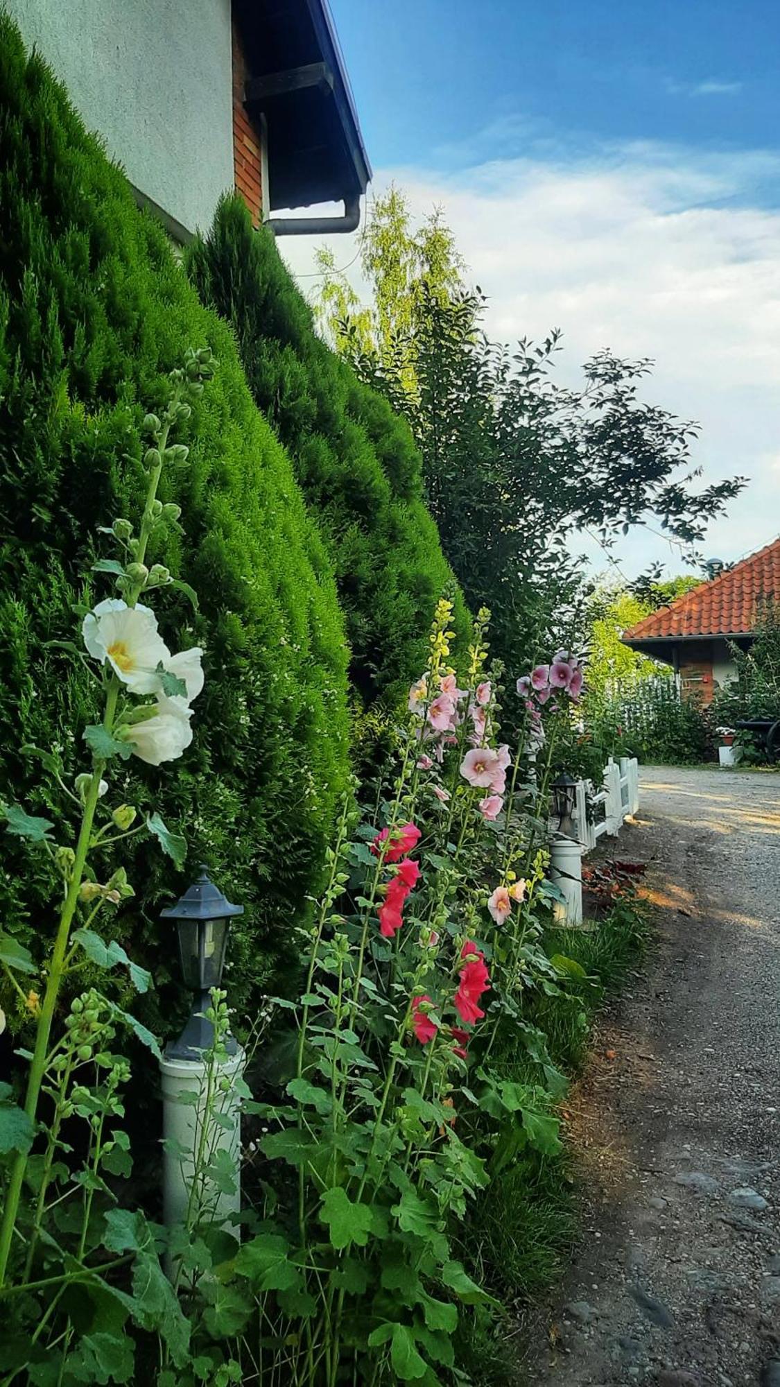 Straznica Komtura Apartamento Mikołajki Exterior foto