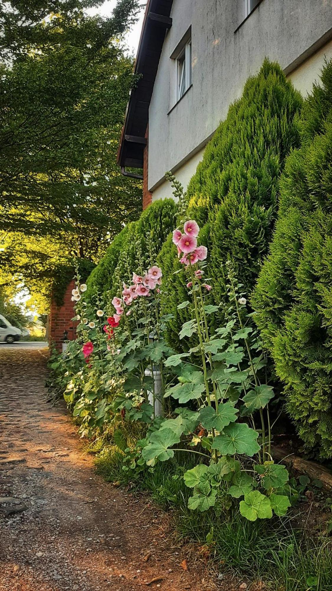 Straznica Komtura Apartamento Mikołajki Exterior foto