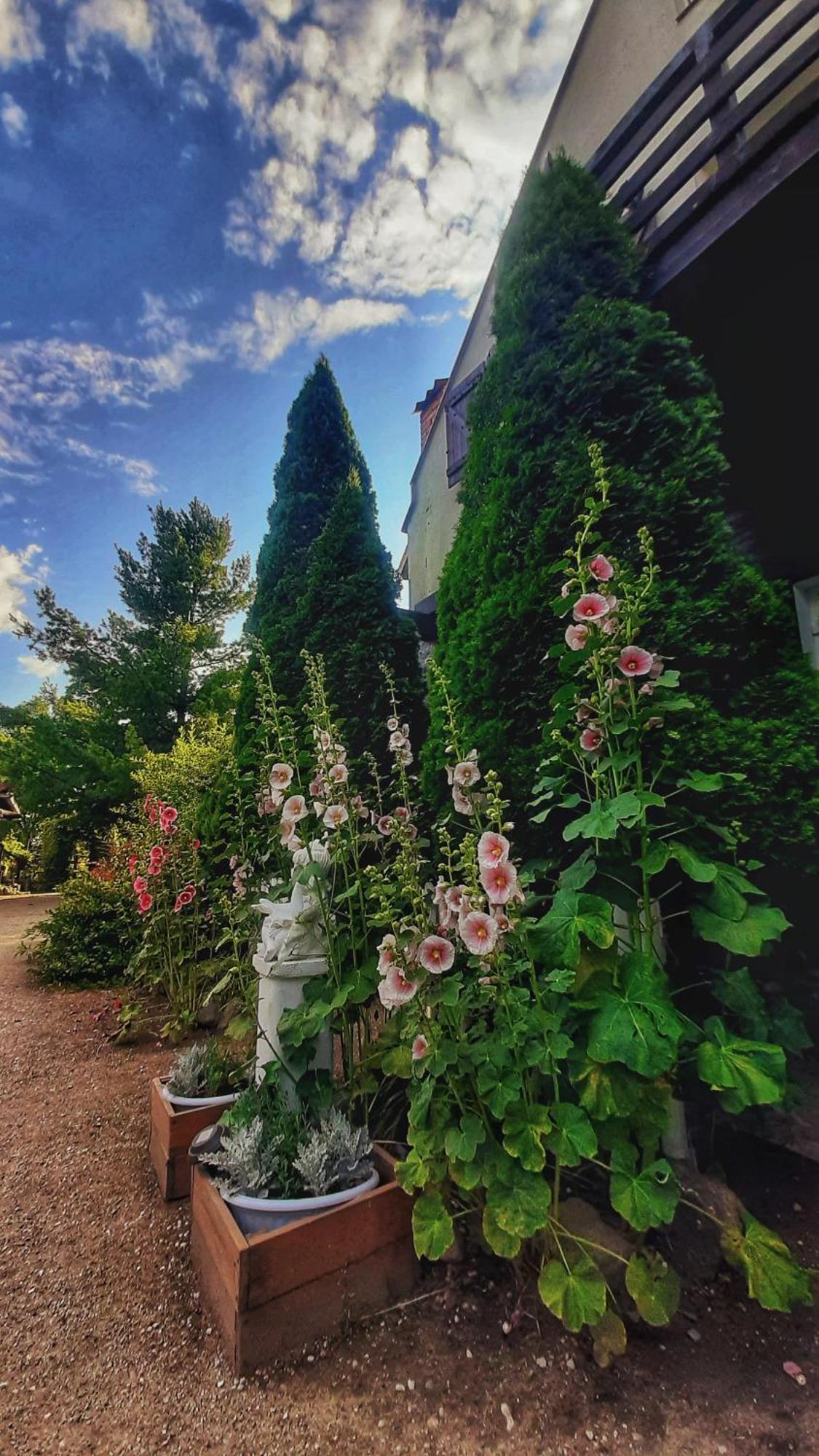 Straznica Komtura Apartamento Mikołajki Exterior foto